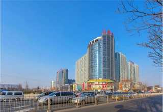 佛山防静电绳与除静电绳